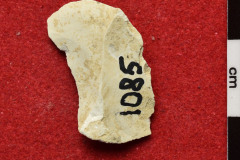 1085s