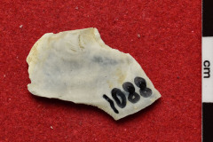 1088s