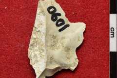 1090s