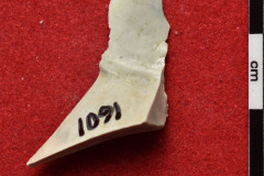 1091s