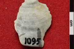1095s