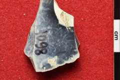 1098s