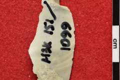 1099s