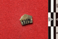 1119s