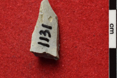1131s