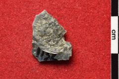 1132s
