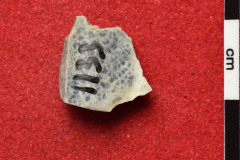 1133s