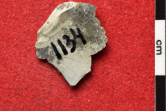 1134s