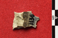 1136s