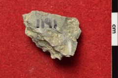 1141s