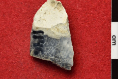 1146s