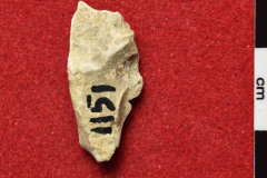 1151s