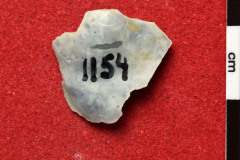 1154s