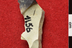 1156s