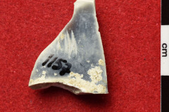 1157s