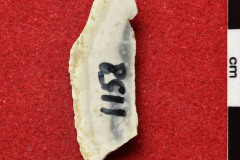 1158s
