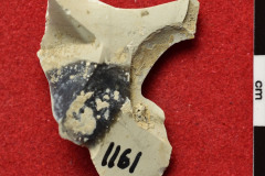 1161s