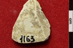 1163s