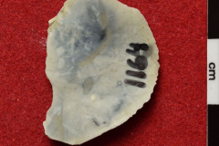 1164s