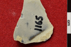 1165s