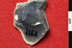 1168s