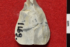 1169s