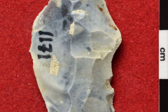 1171s