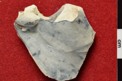 1175s