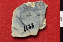 1178s