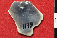 1179s