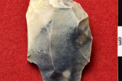 1181s
