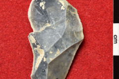 1183s