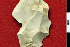 1184s