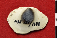 1188s