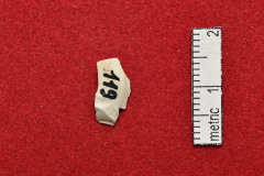 119
