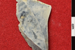 1190s