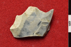1191s