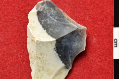 1193s
