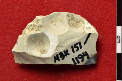 1194s