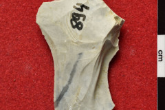 1195s