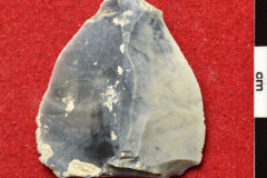 1198s