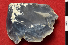 1202s
