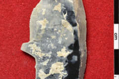 1203s