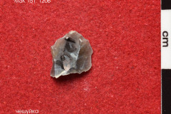 1207s