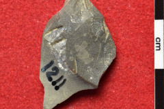 1211s