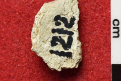 1212s
