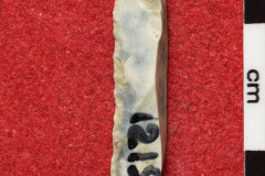 1215s