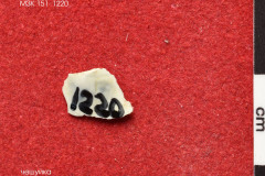 1220s