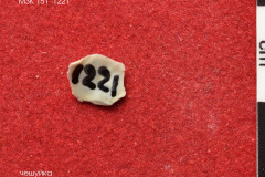 1221s