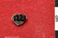 1223s